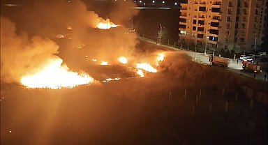 Nusaybin'de sınırdaki mayınlı araziye ulaşan anız yangını 3 saatte söndürüldü