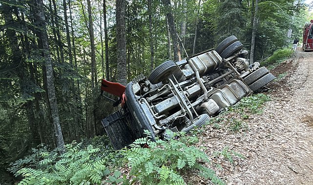 Orman yolunda devrilen TIR'ın sürücüsü yaralandı