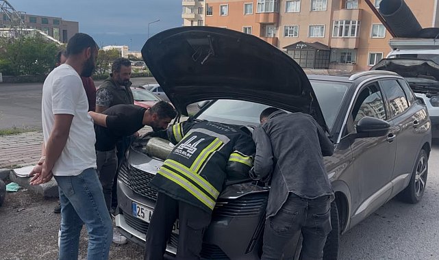 Otomobilin motor bölümüne sıkışan 2 yavru kedi kurtarıldı