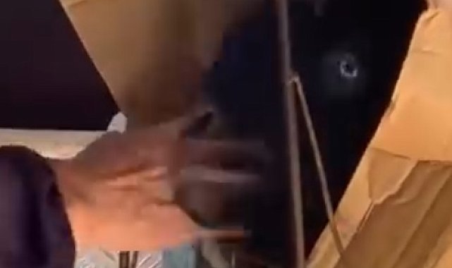Pazar arabasına koyduğu keçisiyle dolmuşta yolculuk yaptı