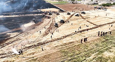Şanlıurfa'da anız yangınları