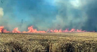 Tekirdağ'da 100 dekar buğday tarlası yandı