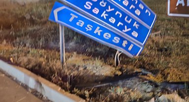 Trafik levhasına çarpıp kaçan alkollü sürücüye 25 bin TL ceza