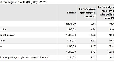 TÜİK: Tarım ürünleri üretici fiyatları mayısta arttı