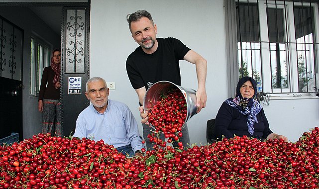 Türkiye'de kiraz mevsimi; Avrupa'ya ihracat başladı