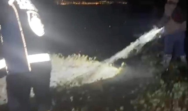 Van Gölü'nde kaçak avlanan 400 kilo inci kefali suya bırakıldı