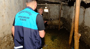 Van'da kuduz vakası sonrası mahalle karantinaya alındı