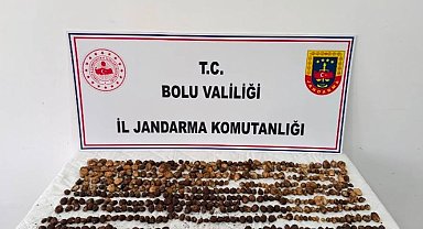Yabani salep toplayan 3 kişiye 2 milyon 97 bin TL ceza