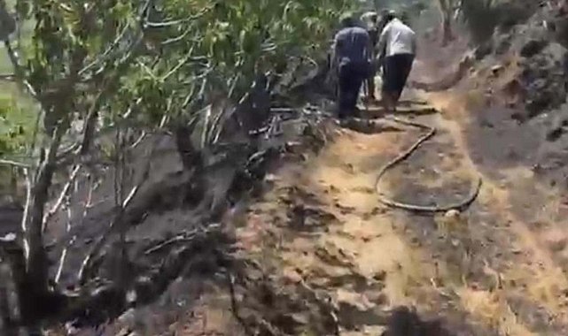 Yemek ısıtmak için yakılan ateş incir bahçesini yaktı
