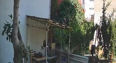 Yumurtaları alıp götüren karga kamerada