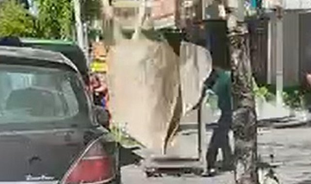 7'nci kattan düşen halı, mağaza çalışanının başına isabet etti