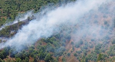 Adana'da orman yangını