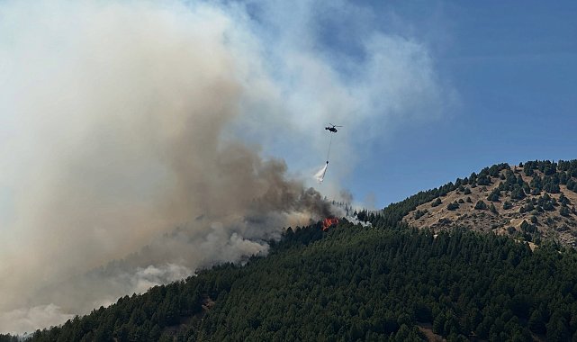 Adıyaman'daki orman yangınına havadan ve karadan müdahale sürüyor