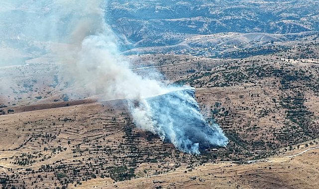 Afyonkarahisar'da orman yangını