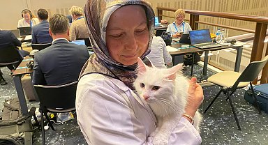 Ankara kedisi 'Lokum', yabancı basın mensuplarının ilgi odağı oldu