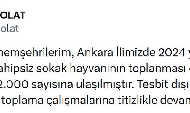 Ankara'da 52 bin sahipsiz sokak hayvanı toplandı