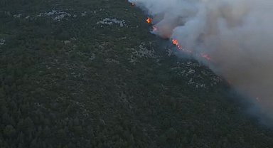 Antalya'da orman yangını