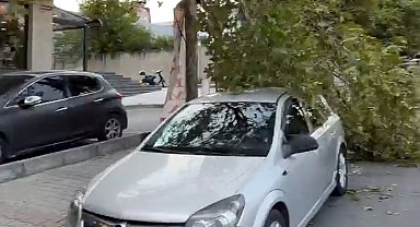 Avcılar'da fırtına nedeniyle ağaçlar devrildi, çatılardan parçalar uçtu