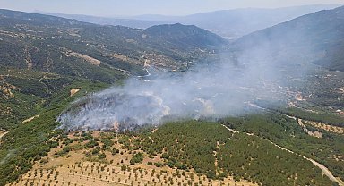 Aydın'da orman yangını