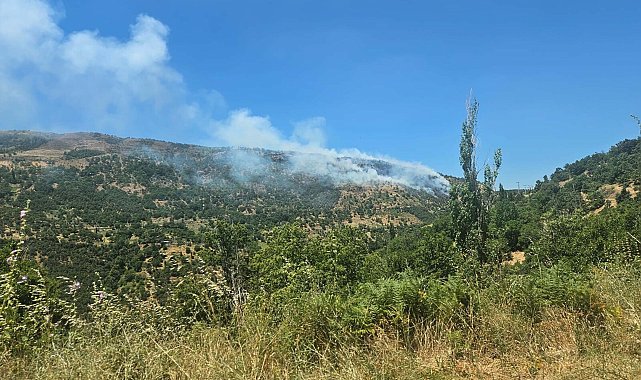 Aydın'da tarım arazisinde yangın