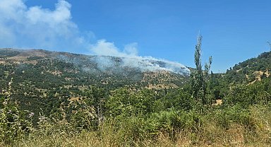 Aydın'da tarım arazisinde yangın