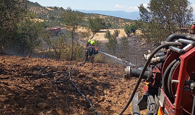 Balıkesir'de anız yangını, alevler 1,5 saatte kontrol altına alındı