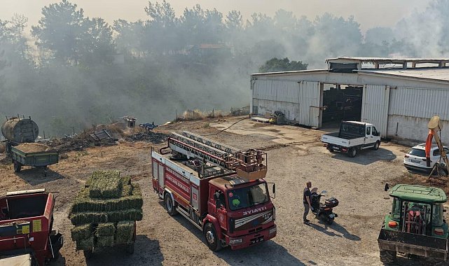 Balıkesir'de Kepsut'un ardından Altıeylül ve Karesi'de de yangın