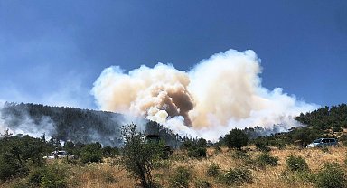 Balıkesir'de orman yangını