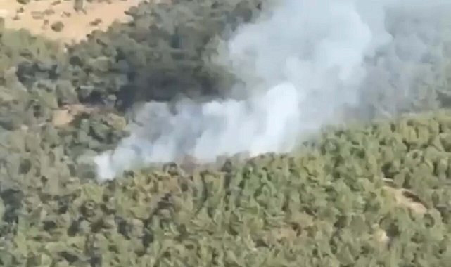 Balıkesir'de orman yangını