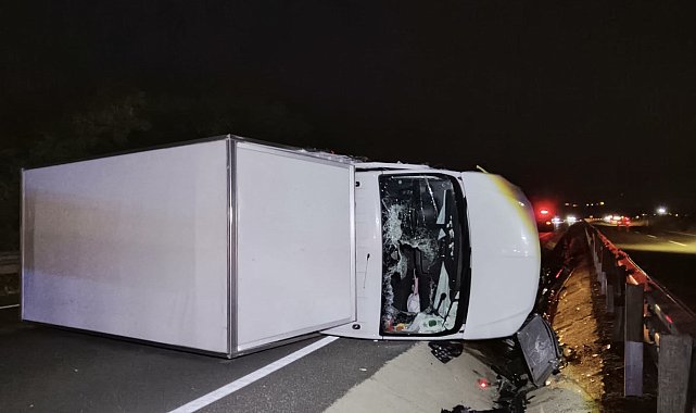 Bariyerlere çarparak devrilen kamyonetin sürücüsü yaralandı