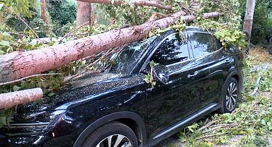 Beykoz'da fırtına nedeniyle ağaç, park halindeki cipin üzerine devrildi