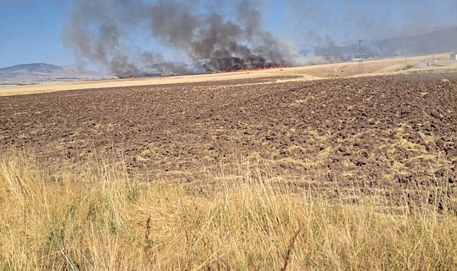 Bingöl'de anız yangını; 4 personel dumandan etkilendi