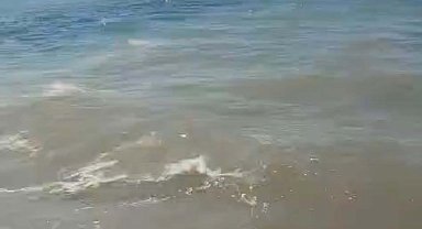 Bodrum'da deniz kirliliği; soruşturma başlatıldı