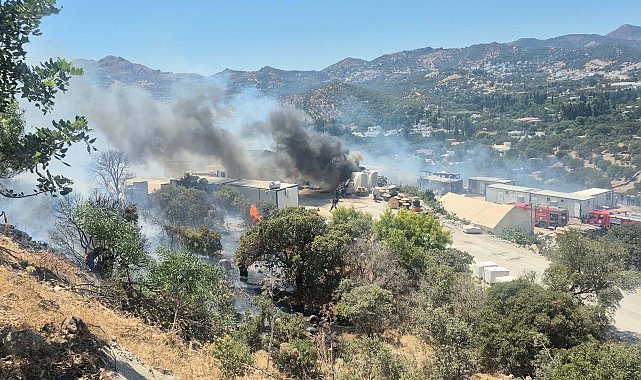 Bodrum'da konteynerde çıkan yangın makilik alana sıçradı