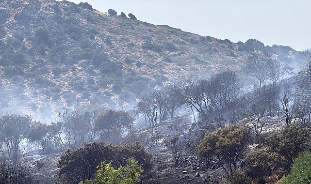 Bodrum'da makilik alanda çıkan yangın kontrol altında