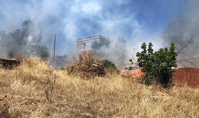 Bodrum'da otluk alanda çıkan yangın, ormana sıçradı
