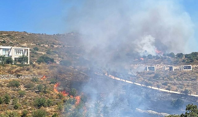 Bodrum'da otluk ve makilik alanda yangın