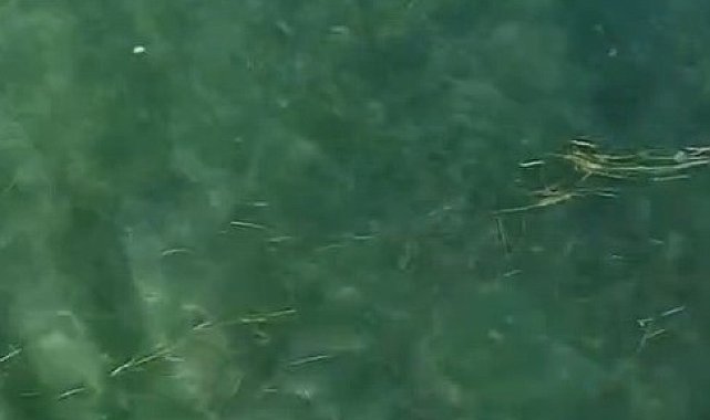 Boğulma tehlikesi geçiren kişi yeri dronla tespit edilip, kurtarıldı