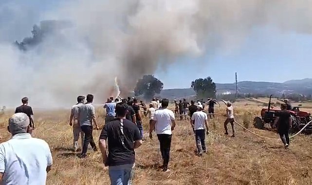Bursa'da, anız yangınında 3 dönüm alan zarar gördü