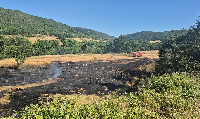 Bursa'da ot yangını; havadan ve karadan müdahale ediliyor