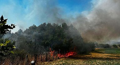 Çanakkale'de ot yangını 1 saatte kontrol altına alındı