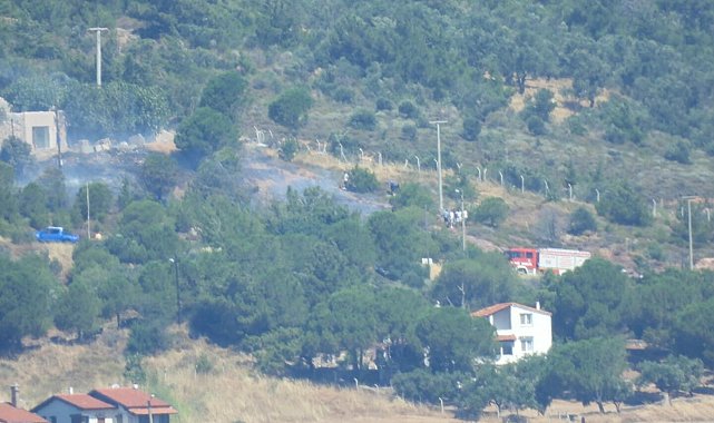 Cunda Adası'nda orman yangını