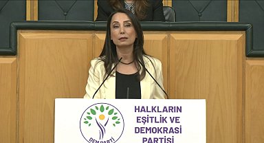 DEM Parti'li Hatimoğulları: Çerçeve yasa mutabakatla çıkmalı