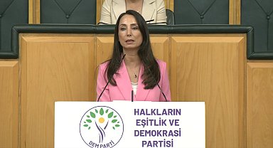 DEM Parti'li Hatimoğulları: Temmuz ayında çerçeve yasayı çıkaralım