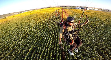 Edirne'nin 'sarı gelin'i ayçiçeği tarlaları üzerinde paramotorla uçtu
