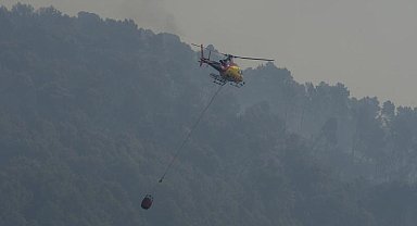 İspanya'da orman yangını: 11 ölü