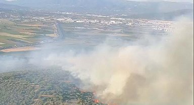 İzmir'de orman yangını