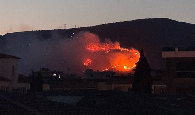 İzmir'de otluk alanda yangın