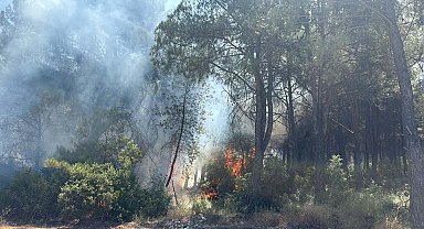 İzmir'deki orman yangınına tutuklama