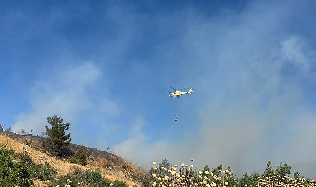 İznik'te çöplükte çıkan yangın, çalılığa sıçradı